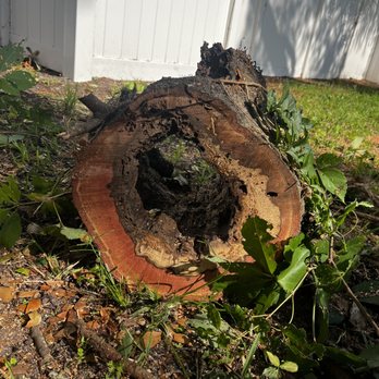 TreeTek Complete Tree Services & Stump Grinding - Tree Services Near Me - Sanford, Florida TreeTek Complete Tree Services & Stump Grinding - Tree Services Near Me - Sanford, Florida
