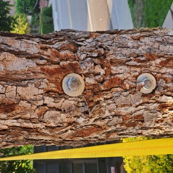 United Tree Service - Tree Services Near Me United Tree Service - Tree Services Near Me