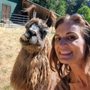 Photo of Vashon Llamas