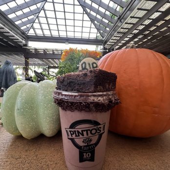 Pinto's Farm - Nutella seasonal shake - Venues & Event Spaces Near Me - Miami, Florida