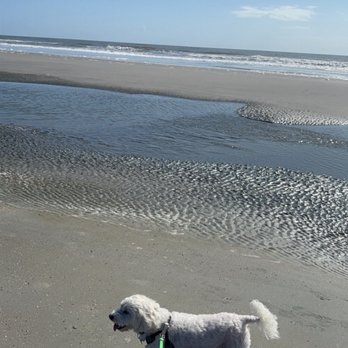 Folly Beach - Beaches Near Me Folly Beach - Beaches Near Me