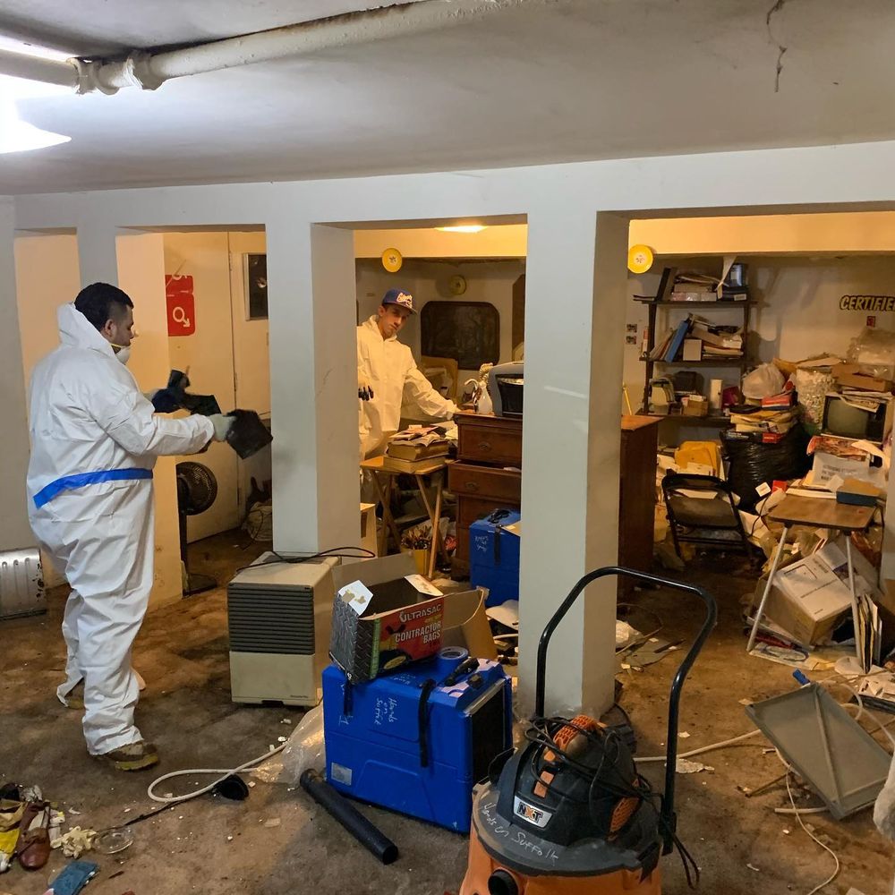 Eco Safe Mold Remediation - mold inspector in Camden, NJ