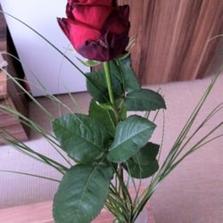 Rosen Freytag - Eine rote Rose als Beispiel... :)