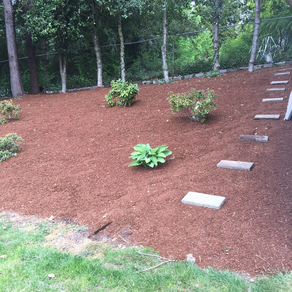 Daniel's Tree Service & Landscaping - Foot path, tree bark and tree trimming - Tree Services Near Me