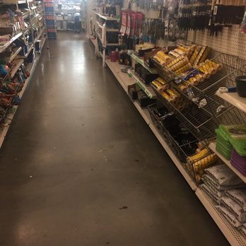 Dollar Tree - Pet and tool aisle. - Discount Store Near Me - Victorville, California Dollar Tree - Pet and tool aisle. - Discount Store Near Me - Victorville, California