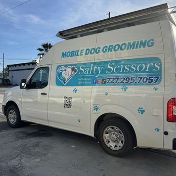 Salty Scissors - Pet Groomers Near Me Salty Scissors - Pet Groomers Near Me