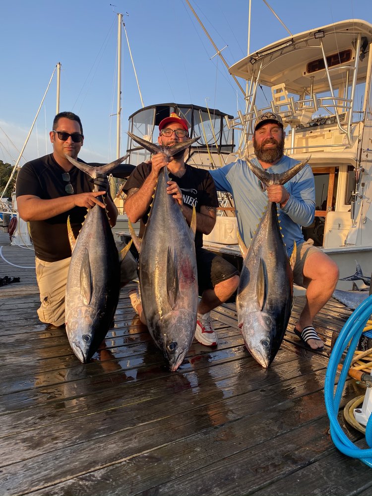 Scaled Up Fishing Charters Logo