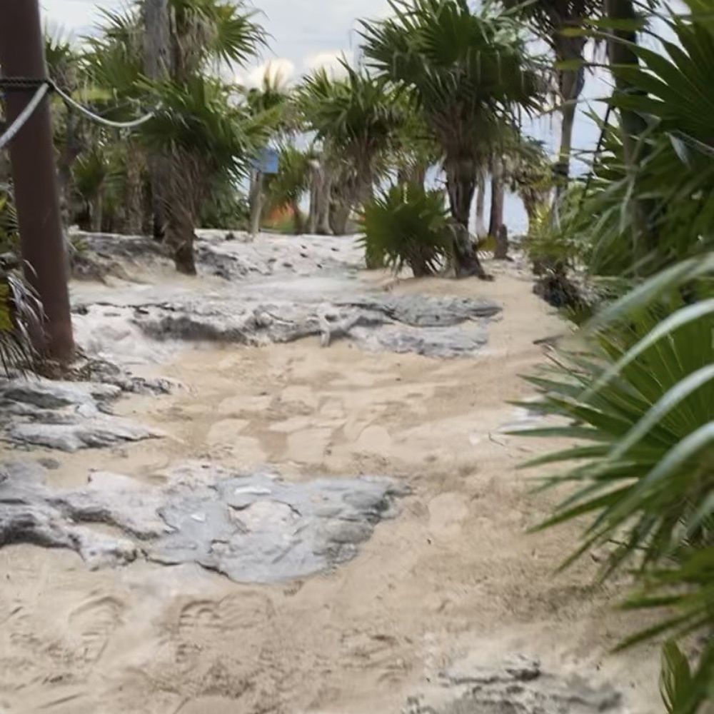 Coconuts Bar & Grill - The path to the restrooms. There was also a masseuse giving massages up there! - Bars Near Me - Cozumel, ROO Coconuts Bar & Grill - The path to the restrooms. There was also a masseuse giving massages up there! - Bars Near Me - Cozumel, ROO