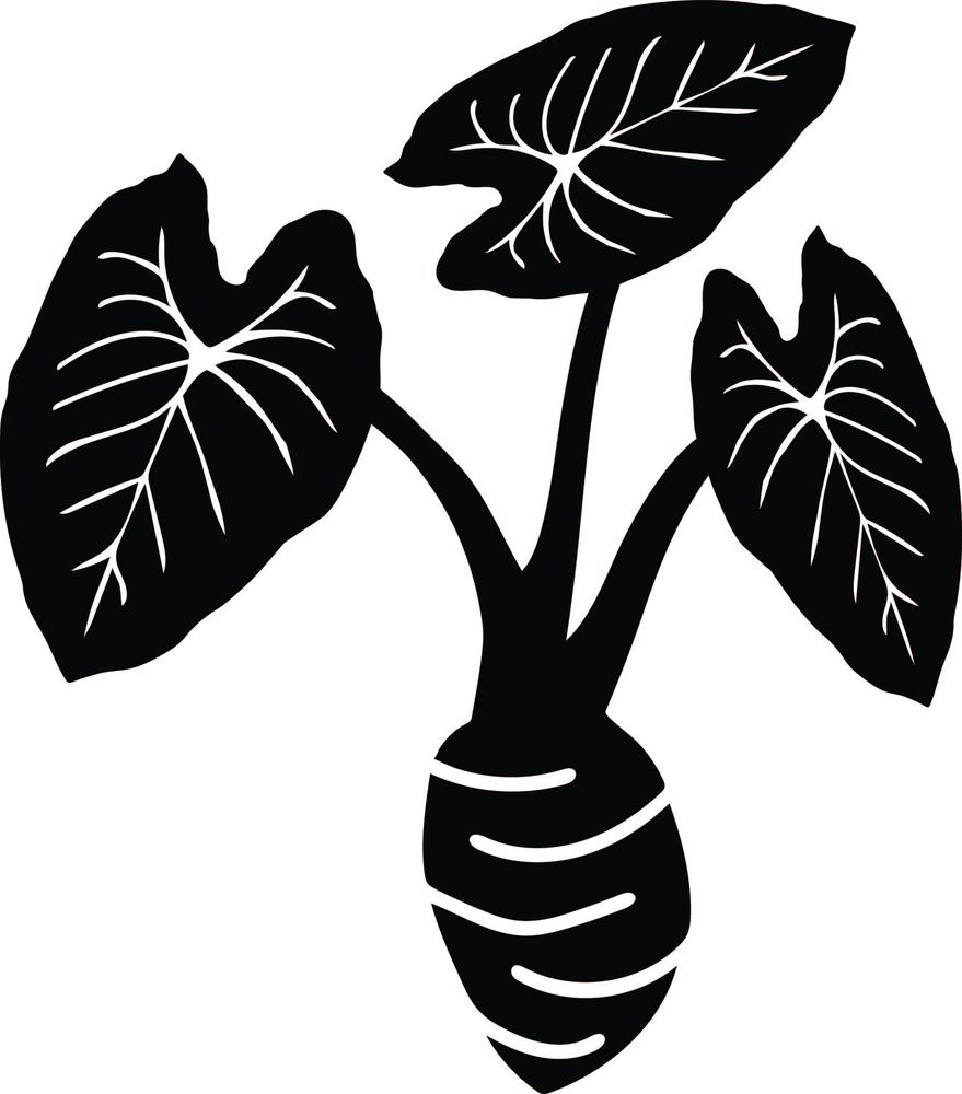 William Jarrett Attorney At Law - divorce attorney in Honolulu, HI