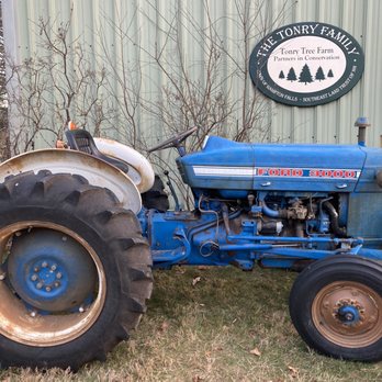 Tonry Tree Farm - Nurseries & Gardening Near Me - Hampton Falls, New Hampshire