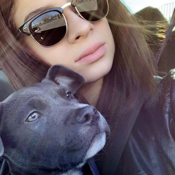 BluePearl - Midvale - Veterinarians Near Me - Midvale, Utah