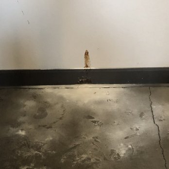 Uptown Square Apartment Homes by Pinnacle - Poop, human feces, been in the stairwell 8 days at time of writing. - Apartments Near Me - Denver, Colorado Uptown Square Apartment Homes by Pinnacle - Poop, human feces, been in the stairwell 8 days at time of writing. - Apartments Near Me - Denver, Colorado