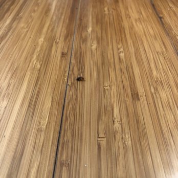 Peck's Pest Elimination - A flying termite wiggling out of a TINY hole in the floorboard! - Pest Control Near Me