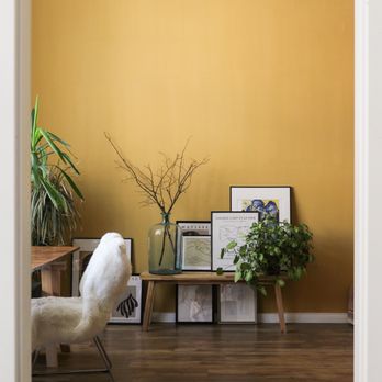 DaSilva Painting - Painters Near Me DaSilva Painting - Painters Near Me