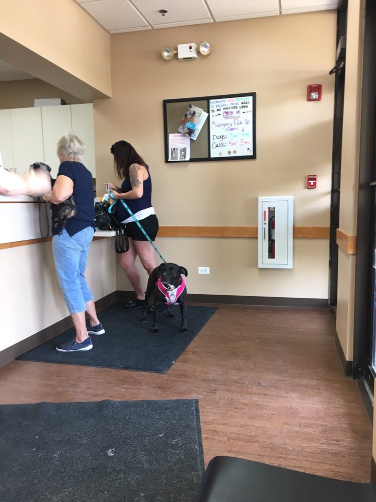 SPAY ILLINOIS LISLE PET WELL CLINIC 24 Photos & 49 Reviews 2765