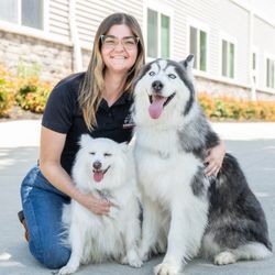Lorenzo's Dog Training Team