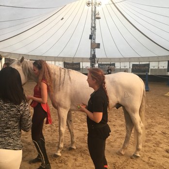 Cavalia Odysseo - The Yelp Elite experience - Performing Arts Near Me - Nashville, Tennessee Cavalia Odysseo - The Yelp Elite experience - Performing Arts Near Me - Nashville, Tennessee