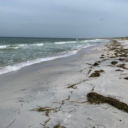 Cayo Costa State Park - Beach, rack line, ocean