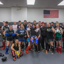 American Martial Arts