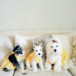 Doggy Street Dog Grooming - 8 years ago when my oldest was 8 years old, and my twins were a few months old.