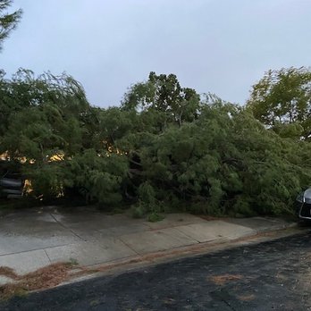 Carlos Tree Service - Tree Services Near Me