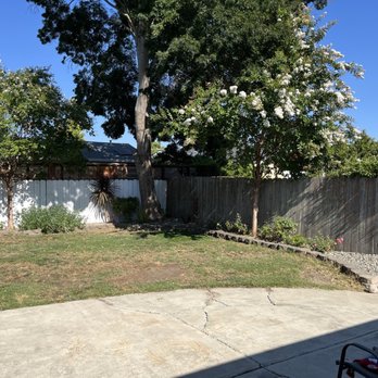 Green Thumb Landscape Service - Cleaned up weeds and overgrown bushes and tree branches - Landscaping Near Me Green Thumb Landscape Service - Cleaned up weeds and overgrown bushes and tree branches - Landscaping Near Me