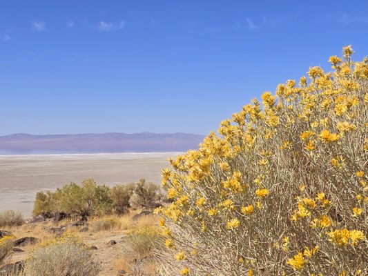 Spiral Jetty by null