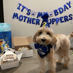 Birthday boy with his treats! Birthday boy with his treats!