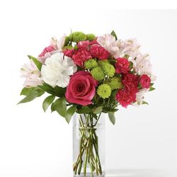 Roses Flowers
