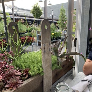 Terrain Cafe - Devon - Outside area - New American Near Me - Devon, Pennsylvania