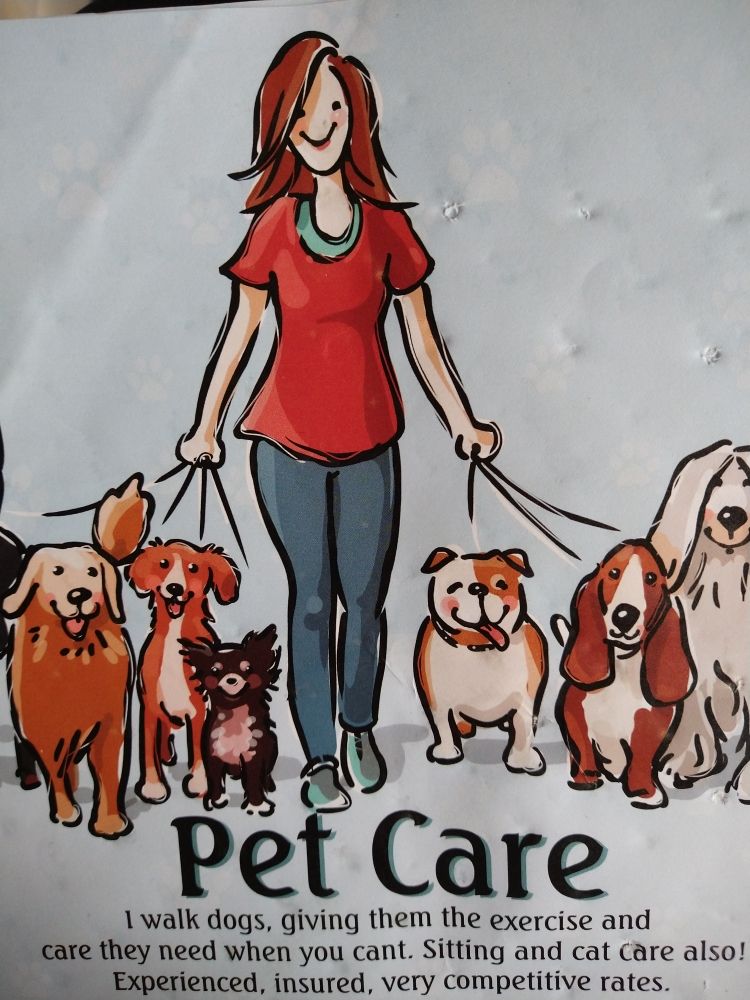 Doggie Deeds Done Dirt Cheap - pet boarding facility in Springfield, NJ
