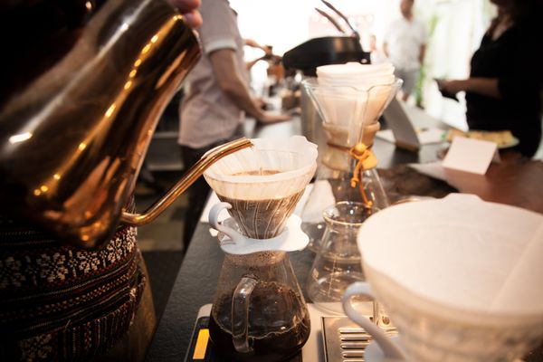 Higher Grounds of Maine by null