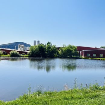 Morning Fresh Dairy - Farm - CSA Near Me - Bellvue, Colorado