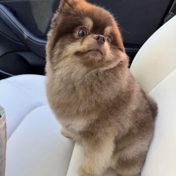 Moco Pet Grooming & Spa - Pet Groomers Near Me - Tustin, California Moco Pet Grooming & Spa - Pet Groomers Near Me - Tustin, California