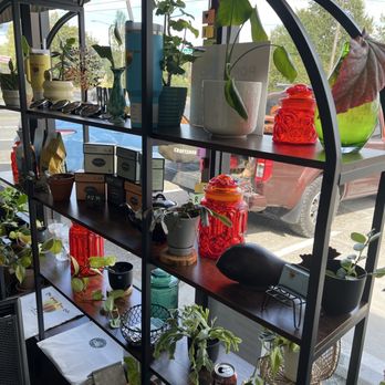 The Happy Tree Cafe - Plants galore - Cafes Near Me - Kelso, Washington The Happy Tree Cafe - Plants galore - Cafes Near Me - Kelso, Washington