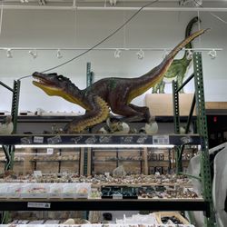GTC Rock Shop - A Dino