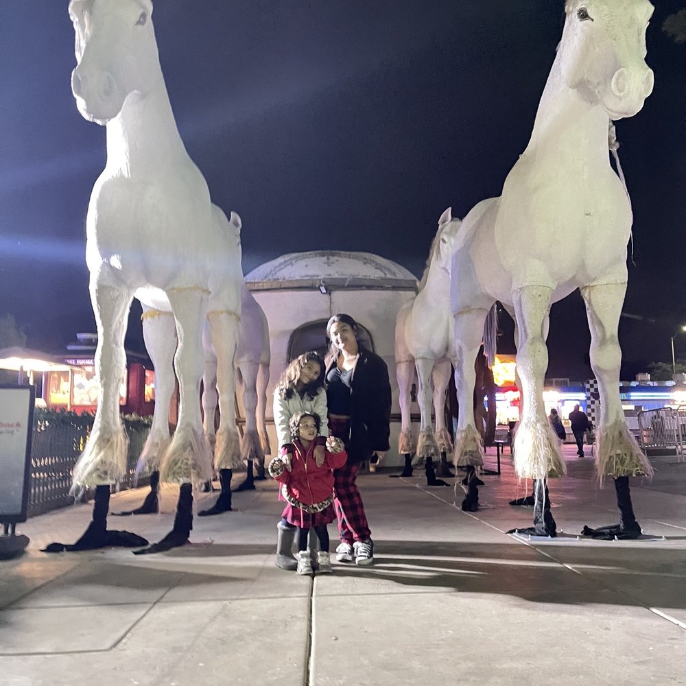 The Magical Forest - Amusement Parks Near Me - Las Vegas, Nevada The Magical Forest - Amusement Parks Near Me - Las Vegas, Nevada