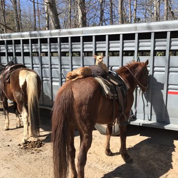 Chunky Gal Stables - Horseback Riding Near Me - Hayesville, North Carolina