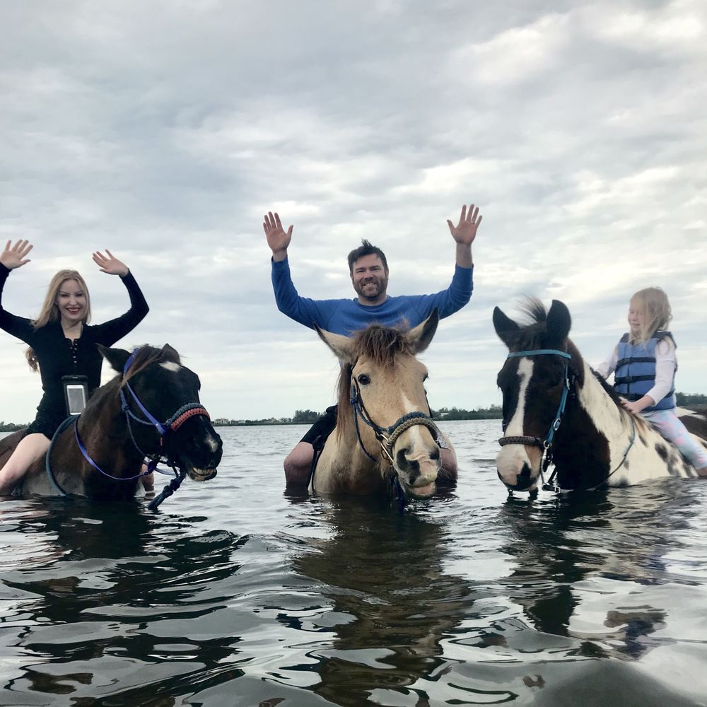 The Real BeachHorses - Horseback Riding Near Me - Bradenton, Florida The Real BeachHorses - Horseback Riding Near Me - Bradenton, Florida