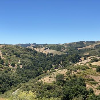 Calcareous Vineyard - Wine Tasting Room Near Me - Paso Robles, California Calcareous Vineyard - Wine Tasting Room Near Me - Paso Robles, California
