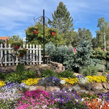 Viola's Flower Garden - Nurseries & Gardening Near Me - Flagstaff, Arizona Viola's Flower Garden - Nurseries & Gardening Near Me - Flagstaff, Arizona