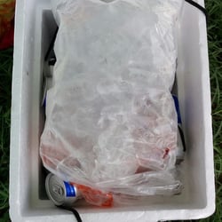 Picnic Yelper