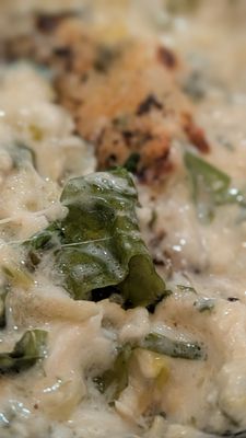 Salt Wood Kitchen and Oysterette by null