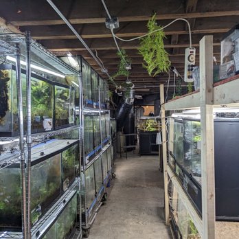 Avalon Exotics - Reptile Shops Near Me - North Tonawanda, New York Avalon Exotics - Reptile Shops Near Me - North Tonawanda, New York