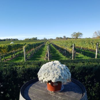 Pellegrini Vineyards - Wineries Near Me - Cutchogue, New York Pellegrini Vineyards - Wineries Near Me - Cutchogue, New York