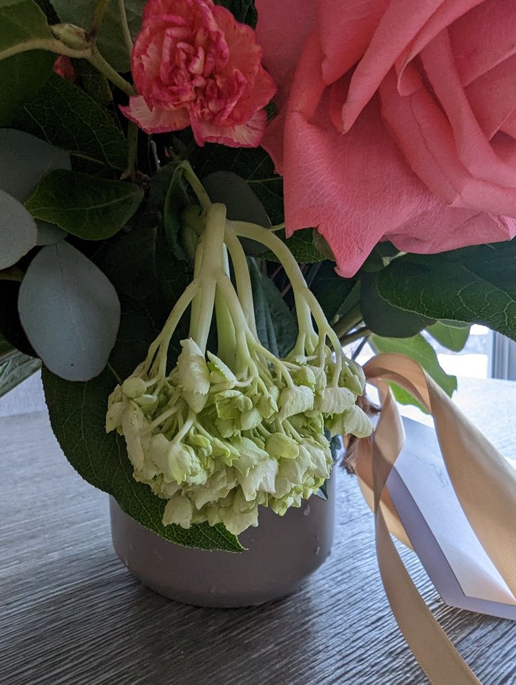 BLOOMS & CO Updated September 2024 80 Photos & 19 Reviews 1586 E