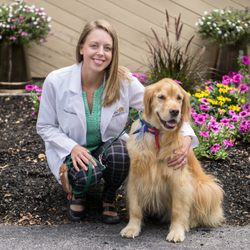 Hudson Animal Hospital, A Thrive Pet Healthcare Partner
