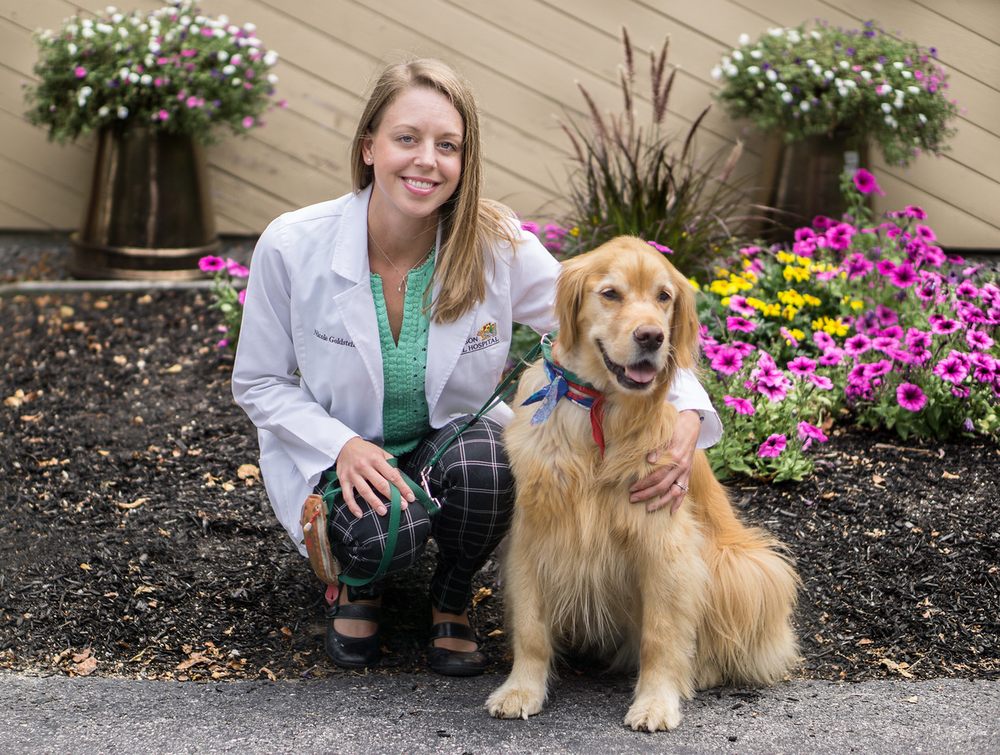 Hudson Animal Hospital, A Thrive Pet Healthcare Partner Image