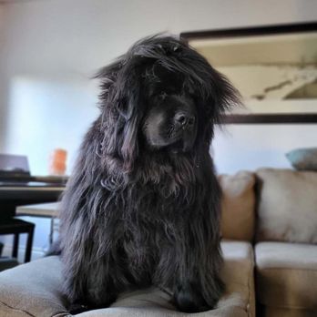 Cornwall Veterinary Clinic - Veterinarians Near Me - Cornwall, Prince Edward Island Cornwall Veterinary Clinic - Veterinarians Near Me - Cornwall, Prince Edward Island
