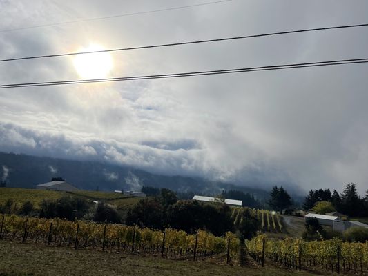 Trisaetum Winery by null